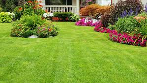 Lawn6